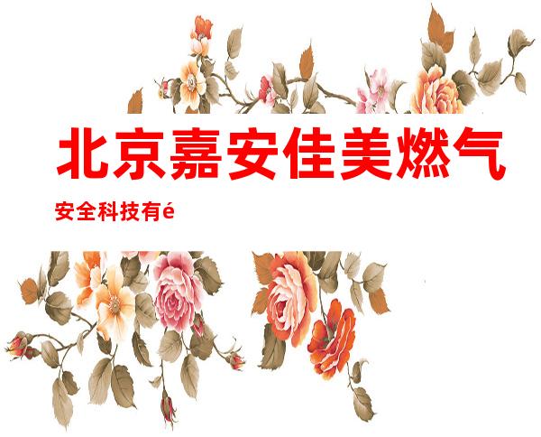 北京嘉安佳美燃气安全科技有限公司